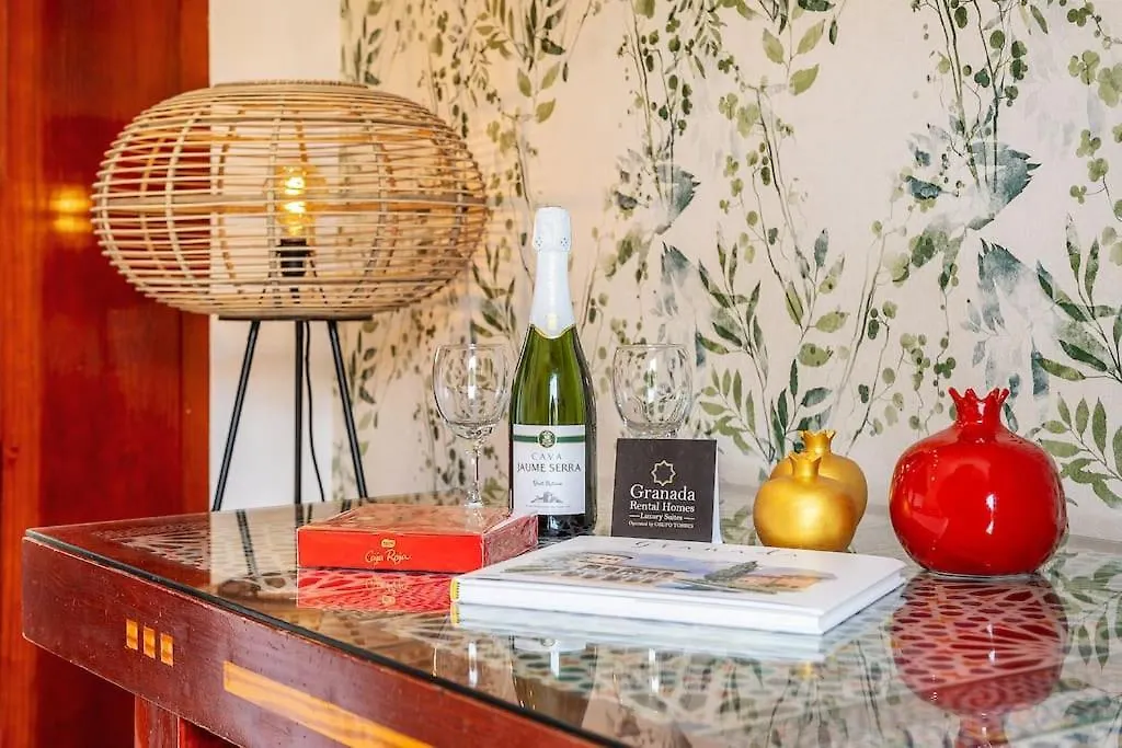 Luxury Suite Plaza Fortuny Granada 0*,